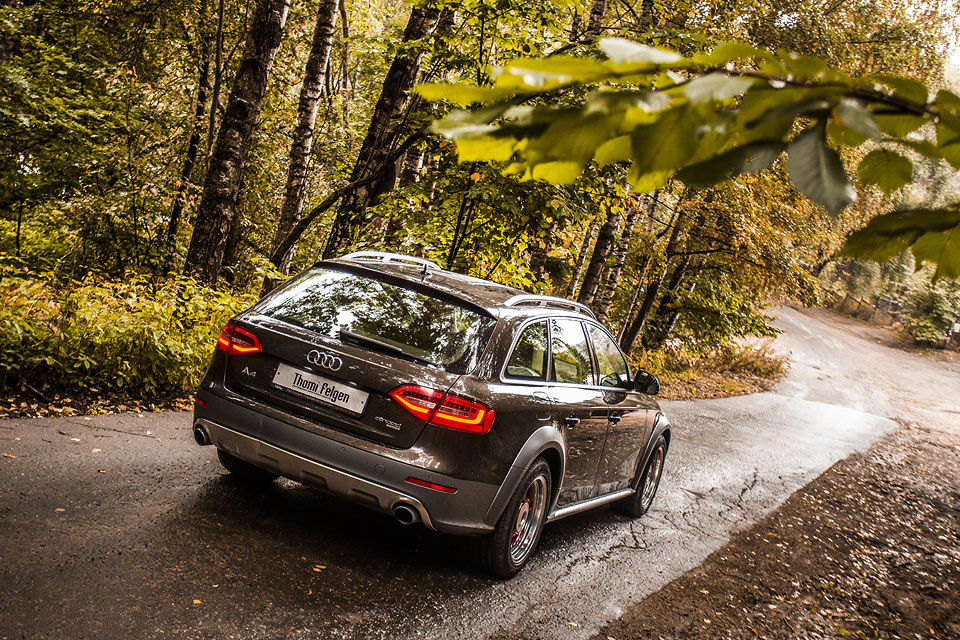 Audi Allroad Thomi Felgen заезжант в осенний лес