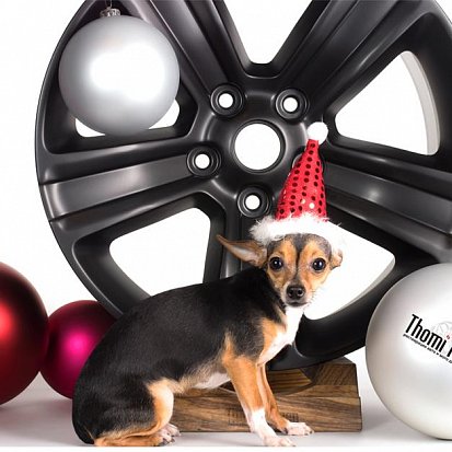 Хрю-ми Фелген. 