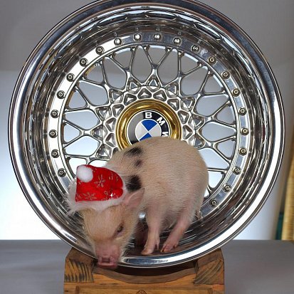 Хрю-ми Фелген. 