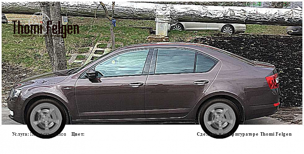 шкода покраска дисков TechArt Formula II цвет 