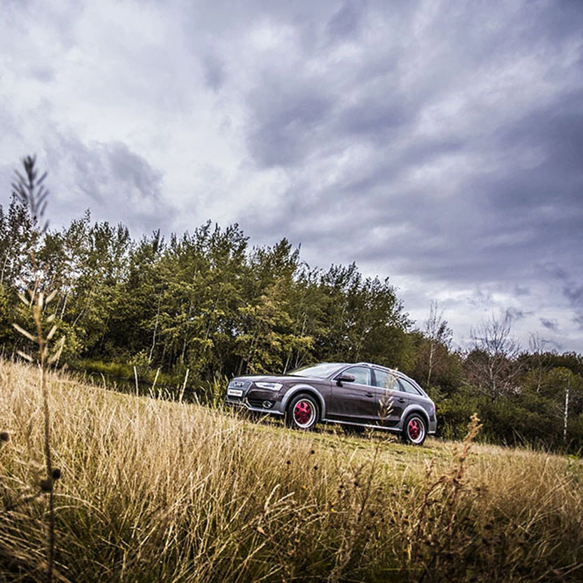 Audi A4 Allroad на дисках MAE