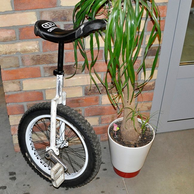 Наши работы. Thomi Felgen